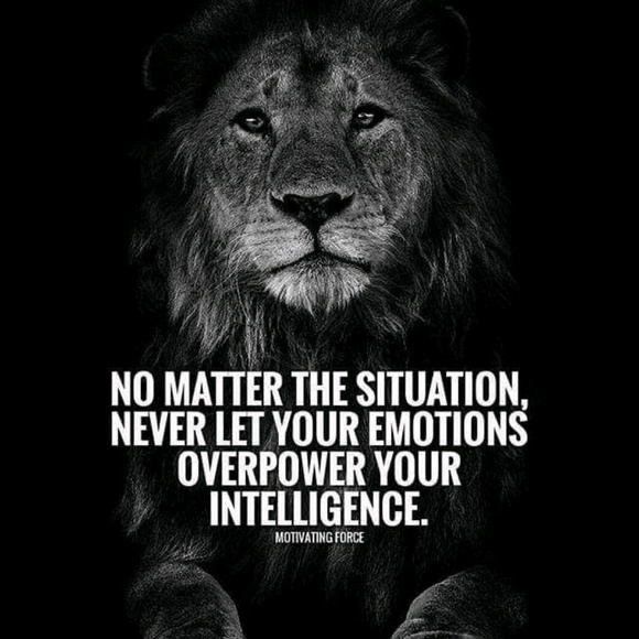 Meet your Posher, Yashica - Picture 1 of 1